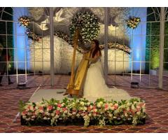 Sajdhaj Marriage Decorator,Vijaynagar