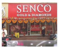 Senco Gold