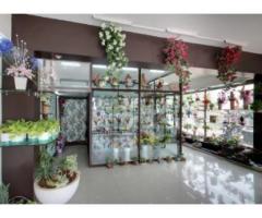 LOREA FLORIST